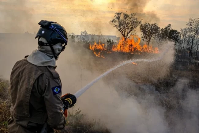 Incêndios no Pantanal: MT e MS decretam situação de emergência