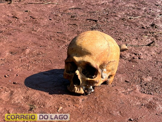 Crânio humano é encontrado em porto de areia no Lago de Itaipu