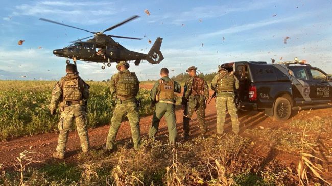 Polícia encontra 211,5 kg de maconha abandonada em mata de Guaíra