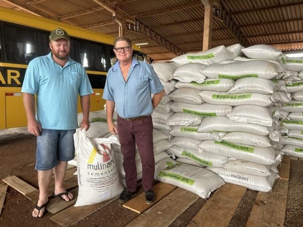 Agricultura de Mercedes distribui 665 sacas de sementes de aveia, estimulando alimentação animal durante o inverno