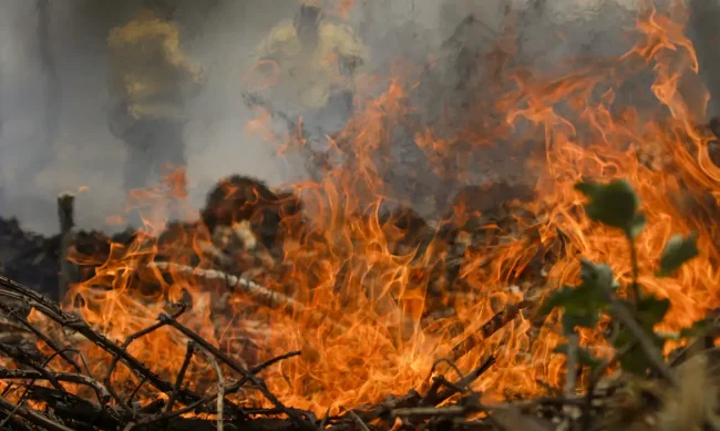Incêndio de grandes proporções devasta extensa área de mata nativa no distrito de Dois Irmãos