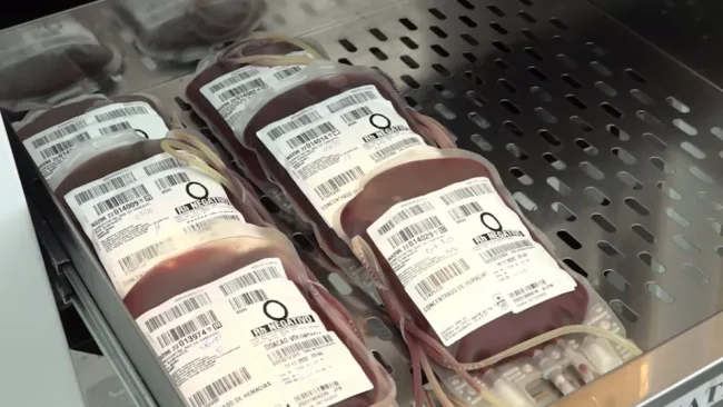 Paraná envia 300 bolsas de sangue para ajudar o sistema de saúde do Rio Grande do Sul