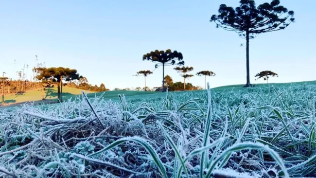 Massa de ar polar deve provocar 1ª geada do ano no PR neste fim de semana