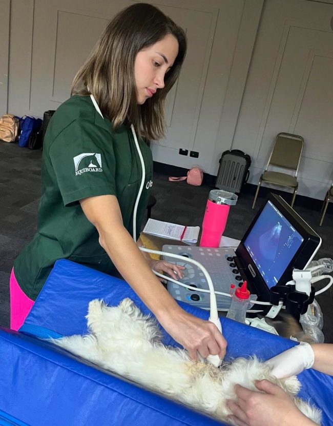 Dra. Patrícia Wickert revoluciona diagnósticos veterinários com Ultrassonografia Móvel