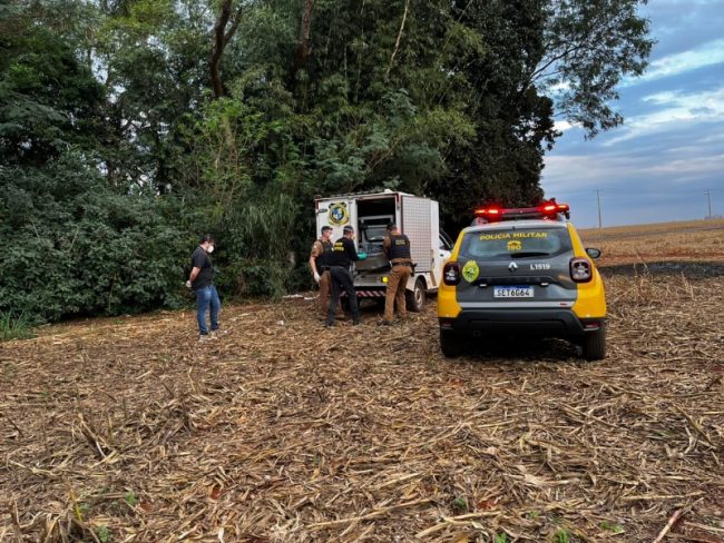 Corpo em decomposição é localizado em lavoura na divisa de Toledo e Maripá