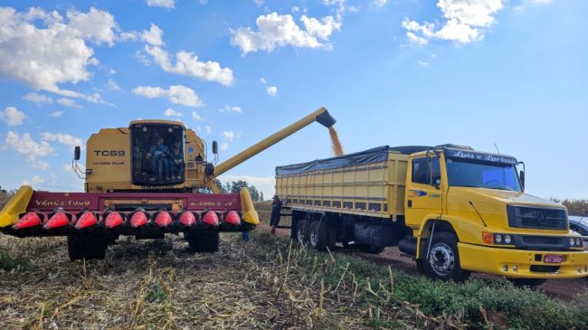 Produtores iniciam colheita de milho nas áreas de atuação da Copagril