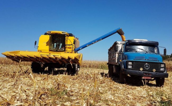 Marechal Cândido Rondon é o 6º município do estado em produção agrícola