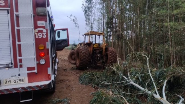Trabalhador morre após ser atingido por árvore no Sudoeste do Paraná