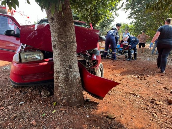 Morador de Vila Candeia bate violentamente em árvore e fica encarcerado