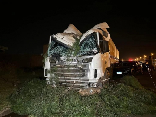 Carreta desgovernada derruba postes, árvores e bate em sete carros