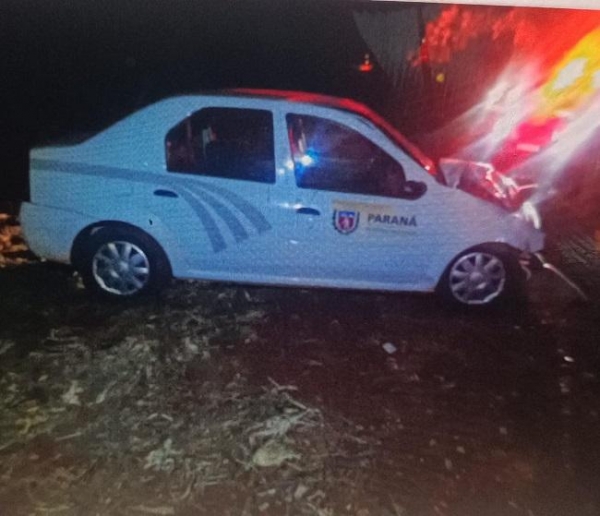 Carro sai da pista e bate em árvore na PR 581, em Assis Chateaubriand