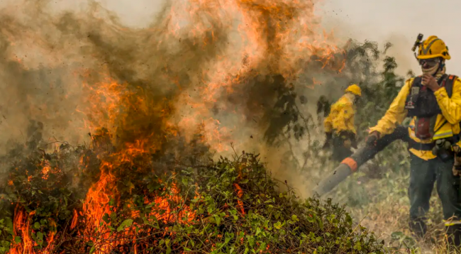 Fogo já consumiu 1,3 milhão de hectares e volta a aumentar no Pantanal