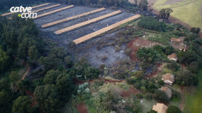 Área de 30 mil m² é devastada por incêndio em Toledo