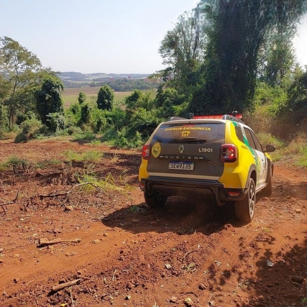 Proprietário rural é autuado por desmatamento ilegal em Marechal Rondon