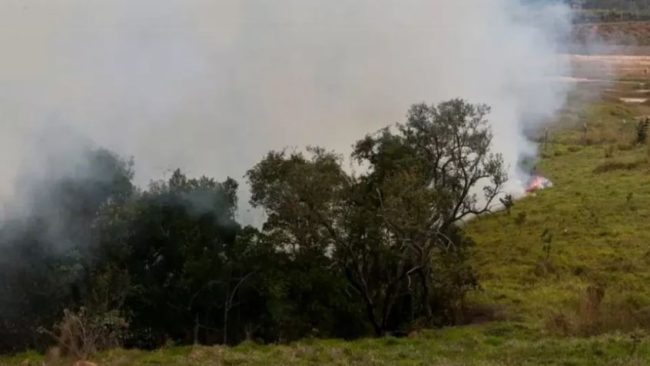 Chuvas reduzem focos de incêndio e fumaça em São Paulo