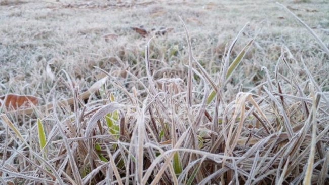 Cidade do Paraná registra -5,3°C nesta terça-feira (13); veja menores temperaturas do estado