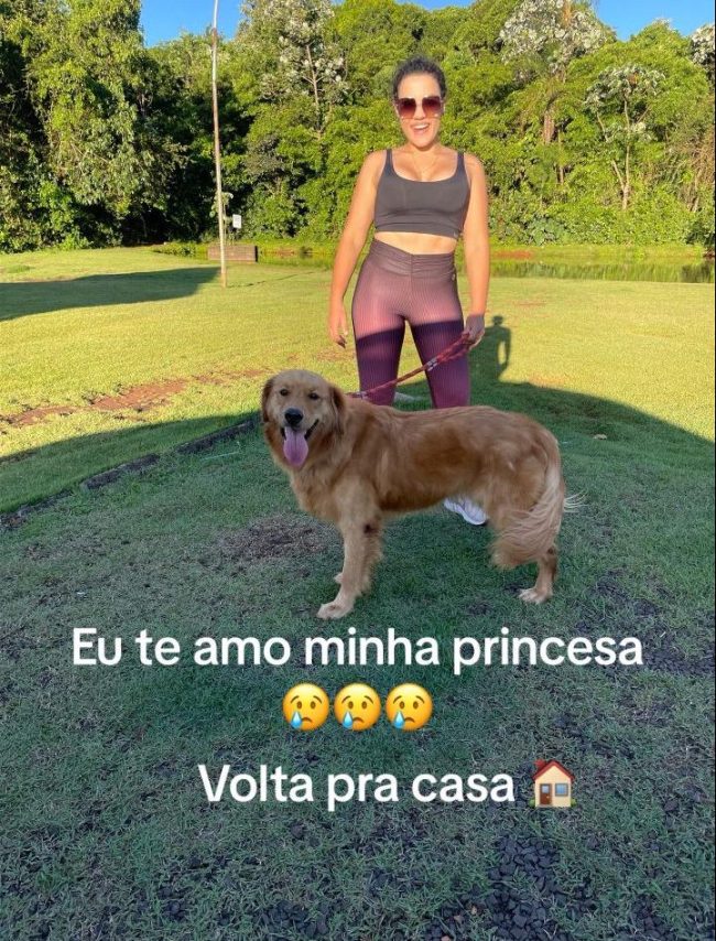 Quatropontense comunica desaparecimento de sua Cachorra Golden Retriever. Ela atende pelo nome de Jade.