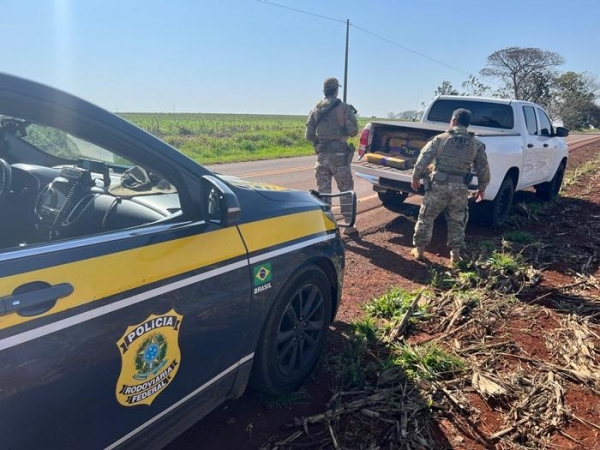 Cascavelense é preso com caminhonete carregada com 744Kd de maconha