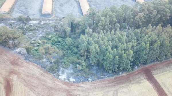 Sete incêndios foram combatidos nas últimas horas na região de Toledo