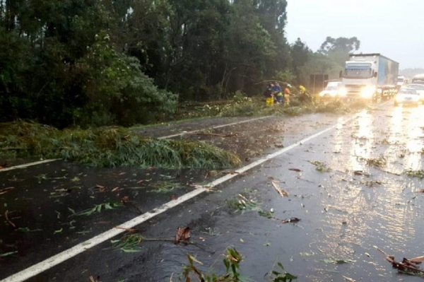 Alerta de vendaval prevê rajadas de até 60 km/h no Paraná