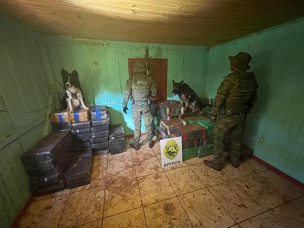 Durante patrulhamento com cães, grande quantidade de maconha é localizada em casa abandonada