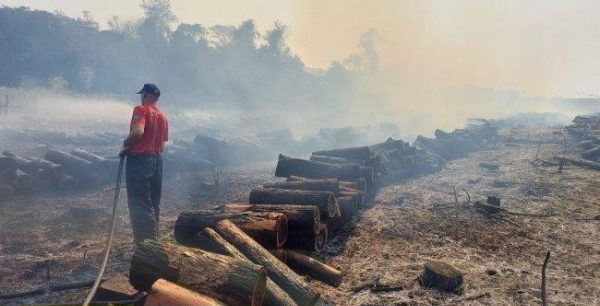 Escapamento de caminhão provoca incêndio em plantação de eucaliptos no interior de Santa Helena