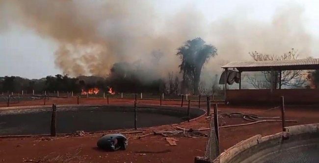 Incêndio de grandes proporções atinge propriedade rural de Pato Bragado