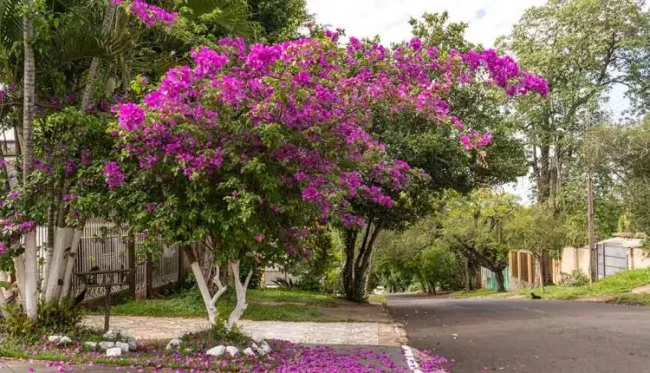 Primavera será quente e com chuva abaixo da média no Paraná