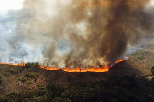 Estado de alerta: Paraná atinge momento mais crítico para queimadas florestais