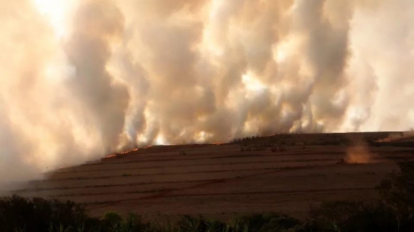 Seca mais severa da história do país vai pesar nos bolsos dos brasileiros