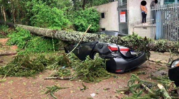 Após raio, árvore cai em cima de carros e mata homem de 40 anos