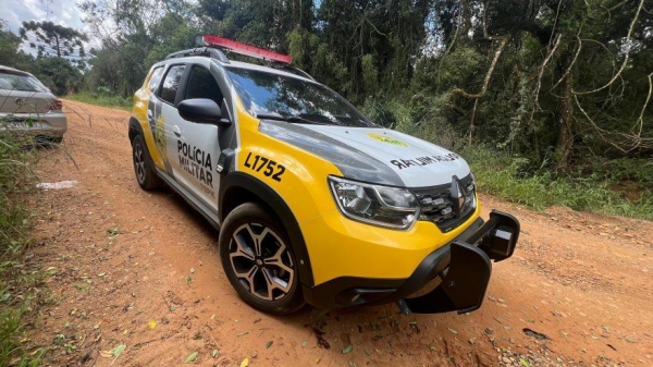 Porco solto em terreno causa discussão com tiros