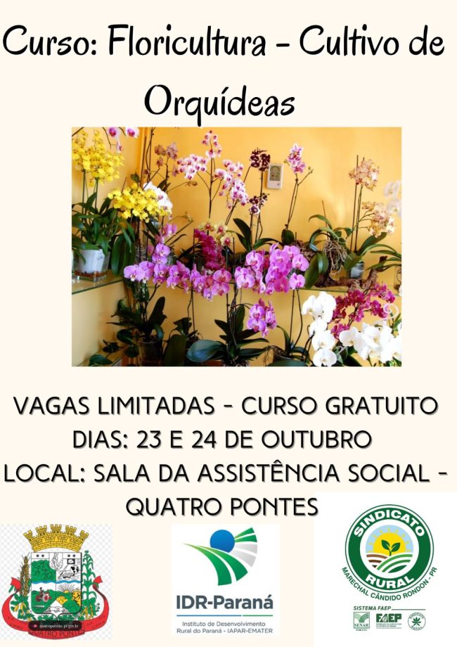 Capacitação e Curso de Floricultura em Quatro Pontes estão com vagas abertas