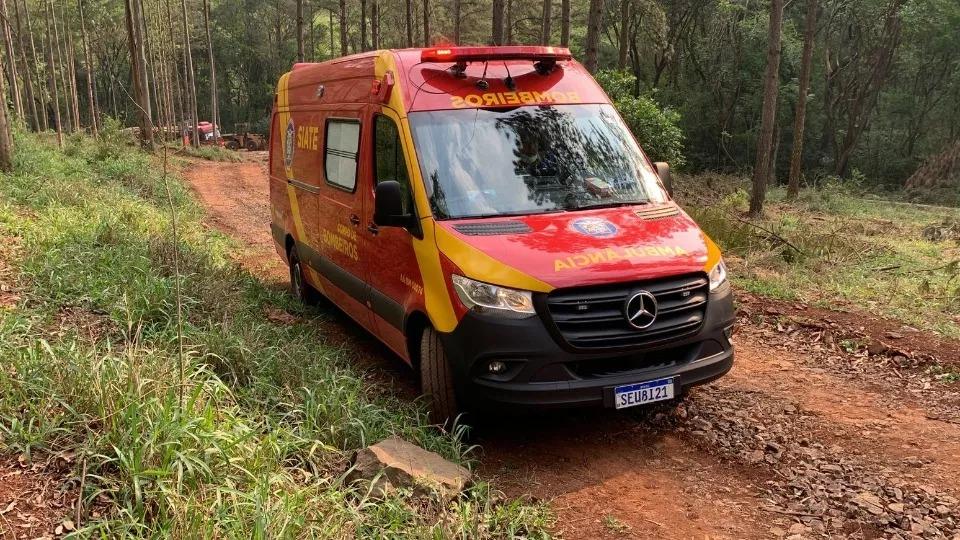 Homem morre ao sofrer acidente enquanto cortava árvore em Cascavel