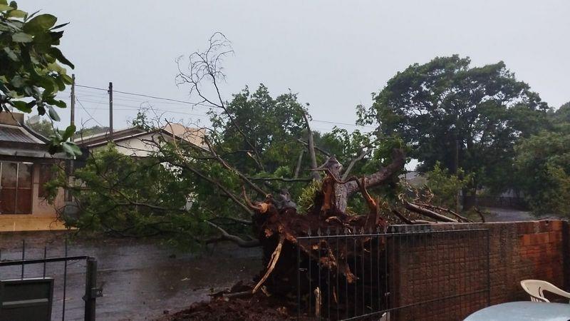 Palotina: Grande temporal deixa estragos e parte da cidade sem energia elétrica