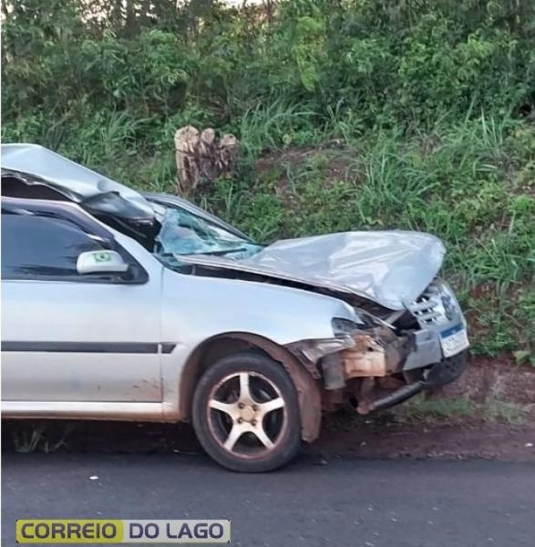 Veículo fica destruído ao atropelar cavalo na PR-317 entre Santa Helena e São José das Palmeiras