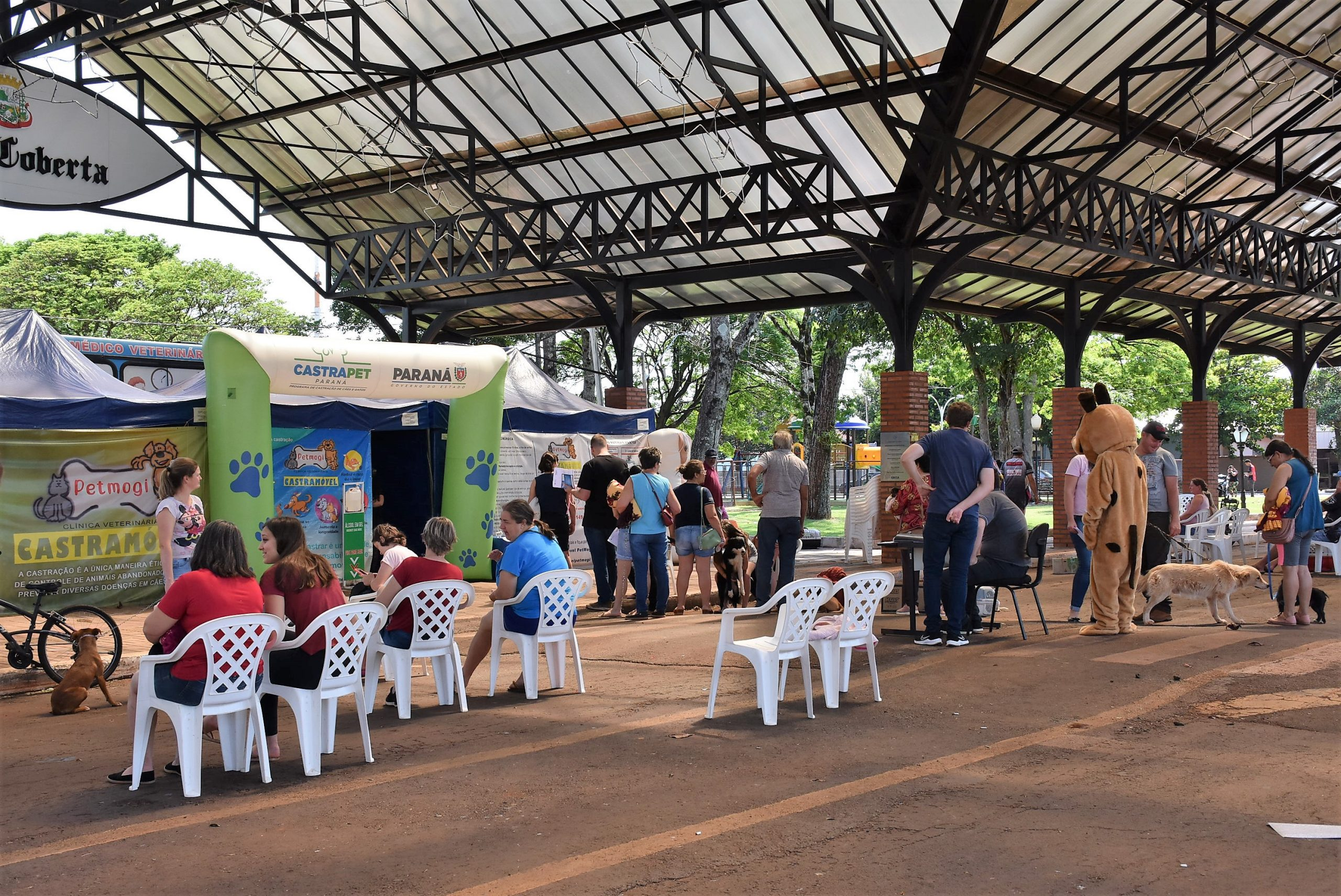 Quatro Pontes recebe o Programa CastraPet em novembro; inscrições começam dia 14 deste mês