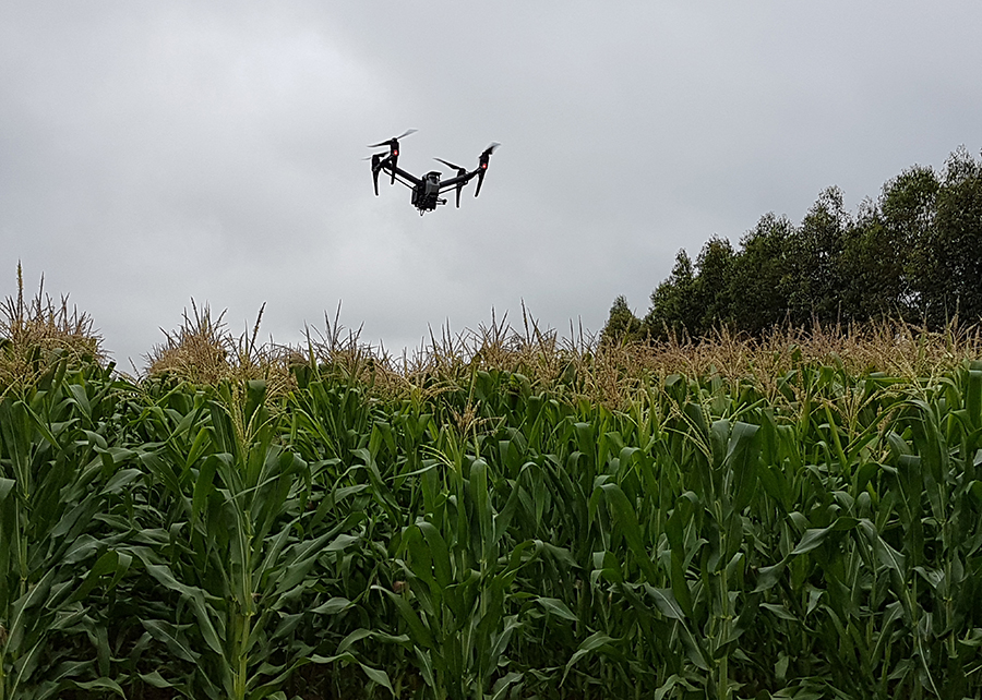 Quatro Pontes: agricultores denunciam drones e atividade suspeita em propriedades