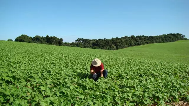 Governo sanciona crédito de R$ 1,97 bilhão para recuperação do setor agropecuário