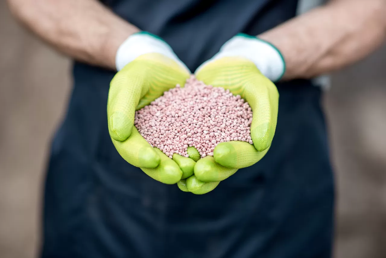 Brasil acelera importação de fertilizantes e investe em adubos de baixo carbono