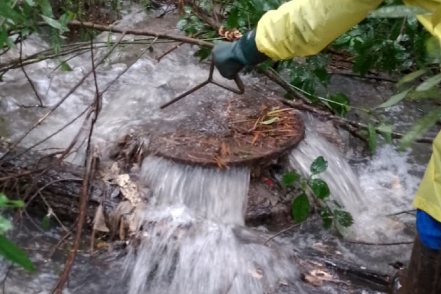 Sanepar orienta população a como escoar corretamente água da chuva dos imóveis