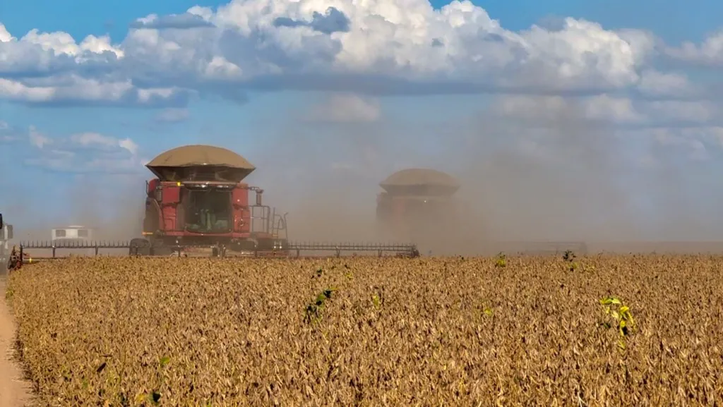 Valor bruto da produção agropecuária deve crescer e chegar a R$ 1,419 tri