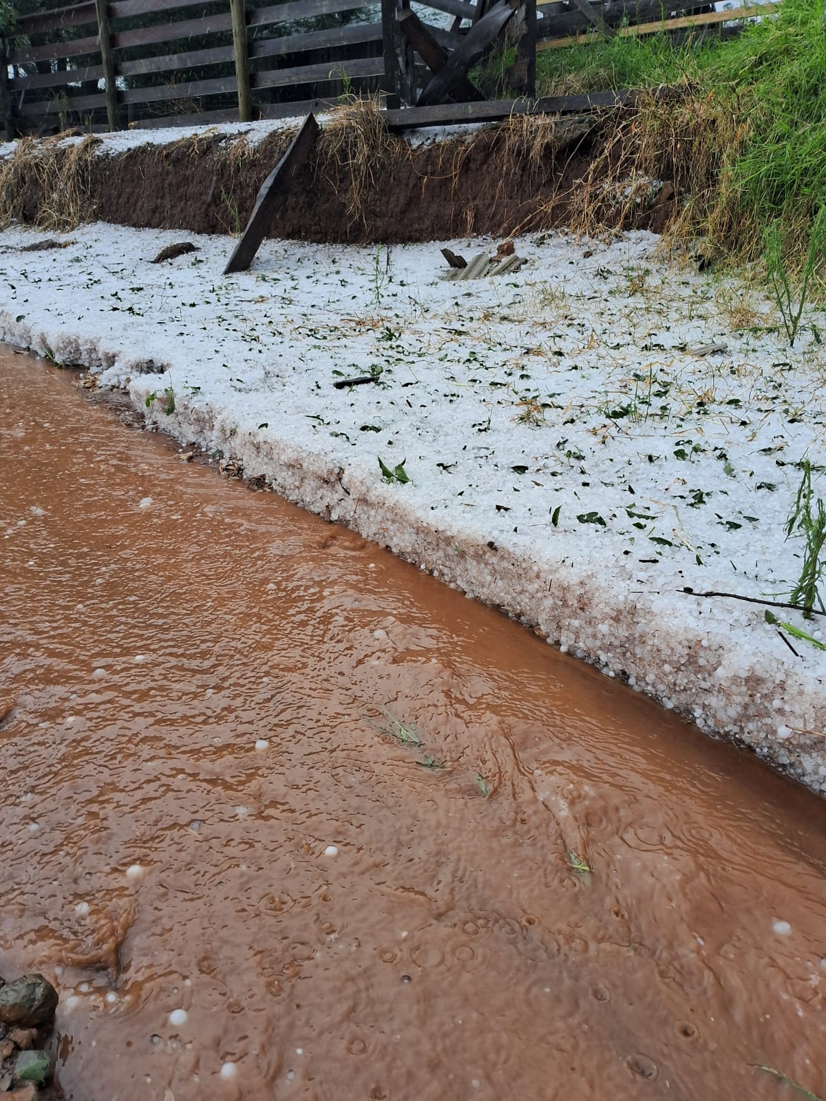 Vídeo: Pedras de granizo despencam em Mangueirinha: ‘Terminou com a soja, terminou com tudo’