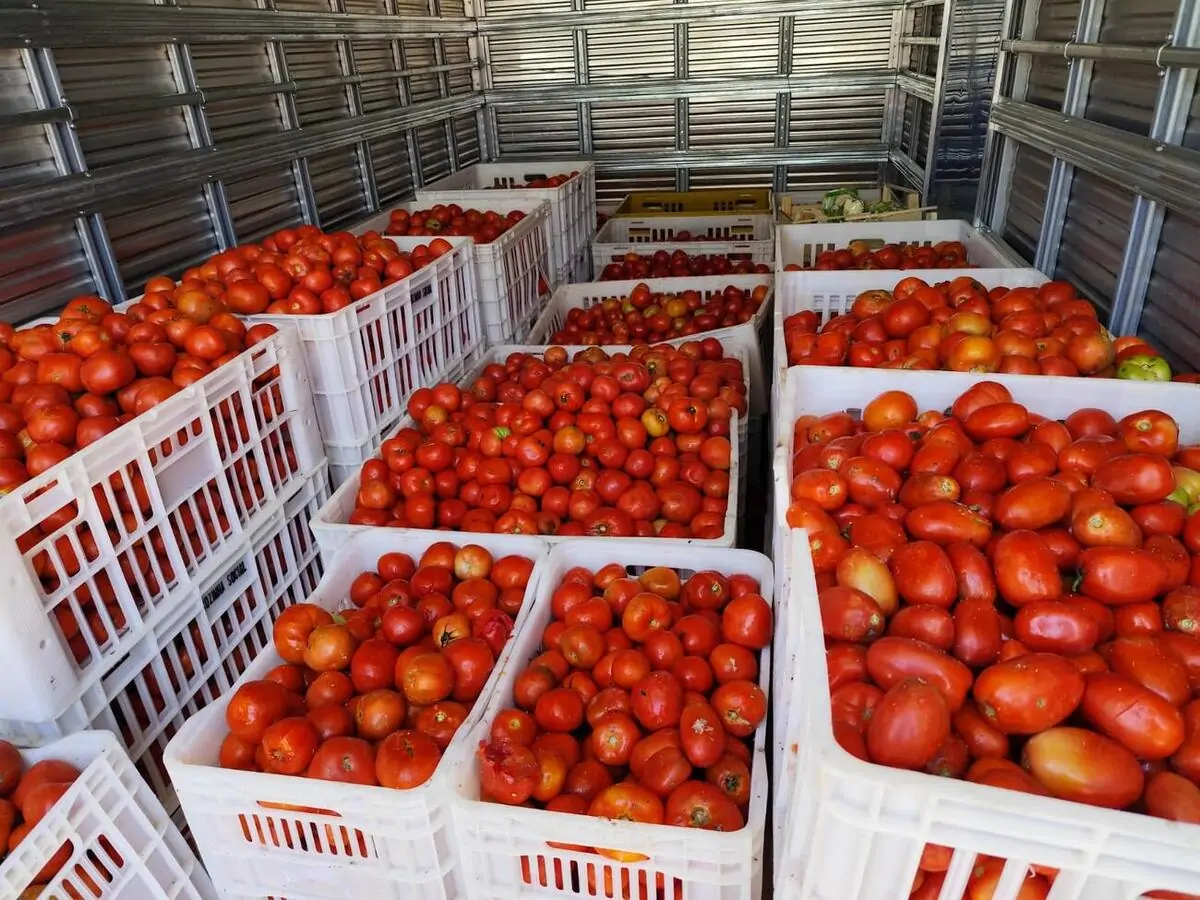 Banco de Alimentos Toledo recebe doação de 3 toneladas do Ceasa de Cascavel