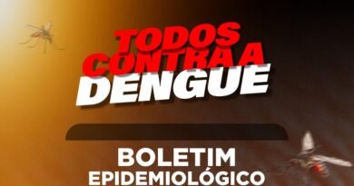CARD – Boletim Epidemiológico Janeiro a Novembro de 2025