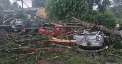 2025-12-01-05-34-09-15e0a369-1316-498c-9be8-3bf07c8bc14a