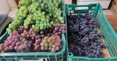 4072EC23-255E-4CD1-9F71-6A8F62C060FD