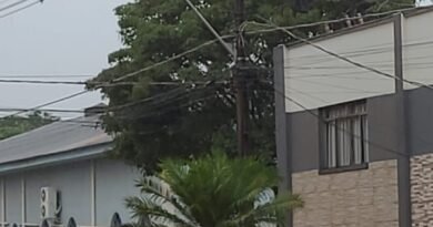 WhatsApp Image 2025-12-08 at 15.47.11