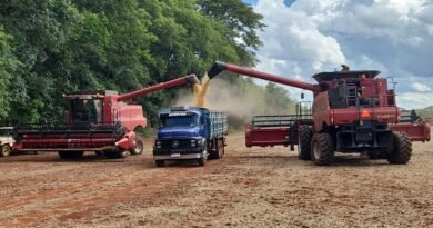 WhatsApp Image 2025-12-29 at 13.30.47 (2) (1)