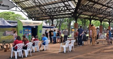 cd3ffd91-castrapet-parana-10-scaled